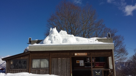 20170203_133029.jpg