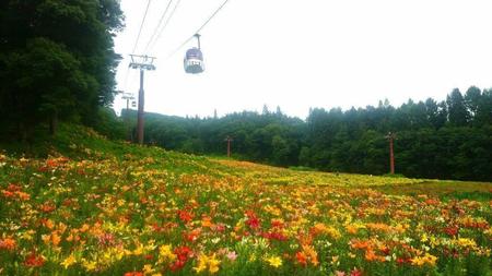 IMG_20160708_084746.jpg