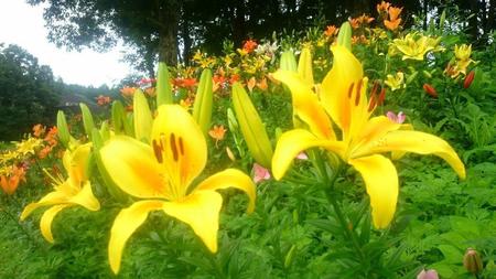 IMG_20160708_084821.jpg