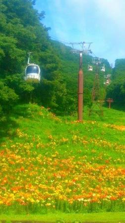 IMG_20160710_090256.jpg
