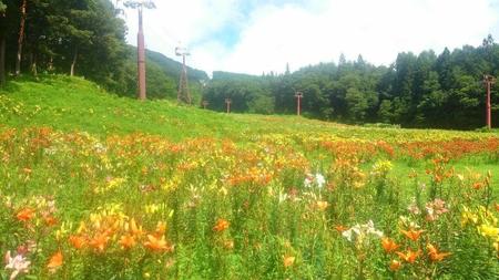 IMG_20160718_090254.jpg