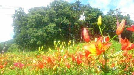 IMG_20160718_090307.jpg