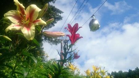 IMG_20160718_090503.jpg