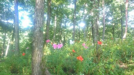 IMG_20160718_090527.jpg