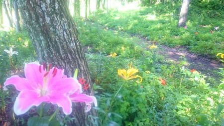 IMG_20160718_090554.jpg