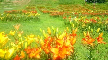 IMG_20160718_090709.jpg