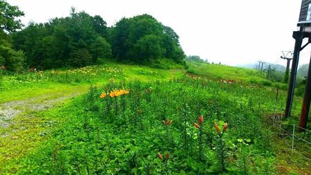 IMG_20160718_101834.jpg