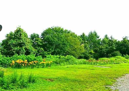 IMG_20160718_101943.jpg