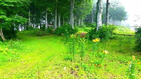 IMG_20160718_102023.jpg