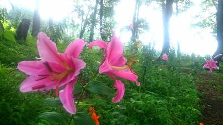IMG_20160720_124152.jpg