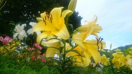 IMG_20160721_085210.jpg