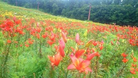 IMG_20160721_085231.jpg