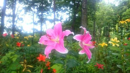 IMG_20160721_085418.jpg