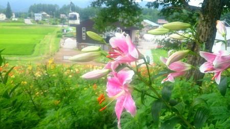 IMG_20160721_085458.jpg