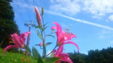 IMG_20160723_082324.jpg