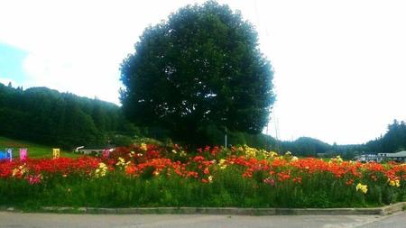 IMG_20160723_082530.jpg