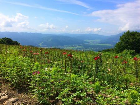 IMG_20160723_091117.jpg