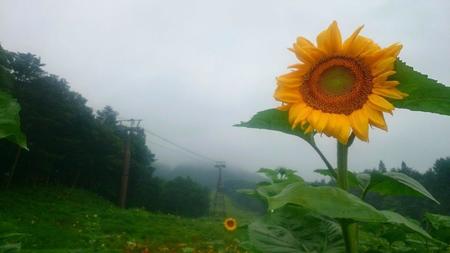 IMG_20160726_082723.jpg