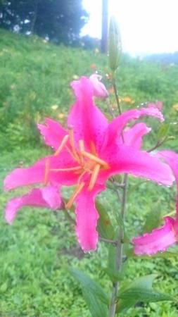 IMG_20160726_083401.jpg