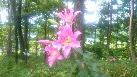 IMG_20160731_093008.jpg