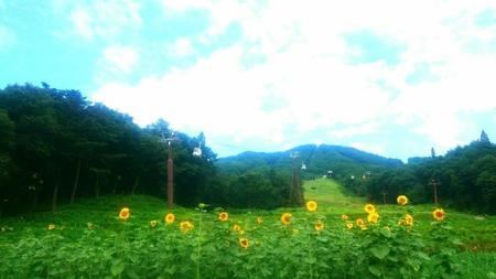IMG_20160731_093141.jpg