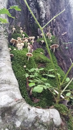 20160707_133537.jpg