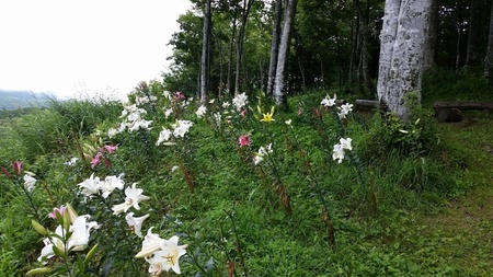 20160803_082155_resized.jpg