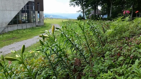 20160803_105736_resized.jpg