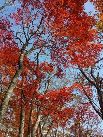 20161027_135623.jpg