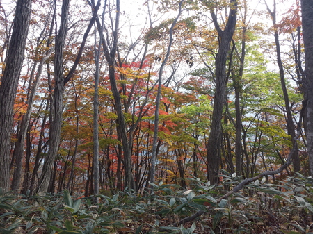 20161027_140201.jpg