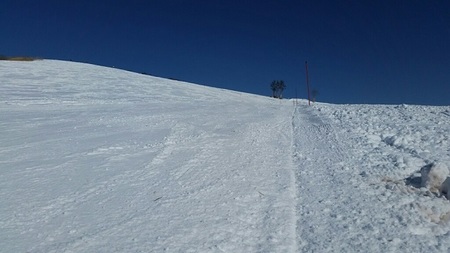20170107_110537_1483825078656_resized.jpg