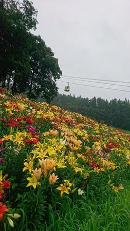 DSC_3515.jpg