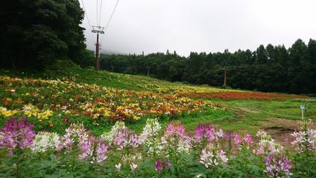 DSC_3551.jpg