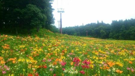 IMG_20160705_083108.jpg