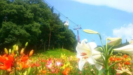 IMG_20160714_090445.jpg