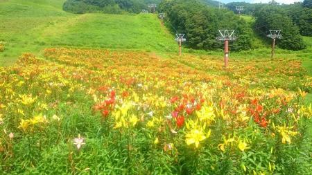 IMG_20160714_090639.jpg