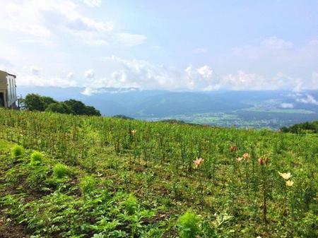 IMG_20160714_091511.jpg