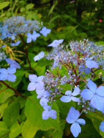 IMG_20160715_090511.jpg