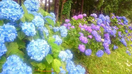 IMG_20160716_093036.jpg