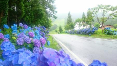 IMG_20160716_093054.jpg