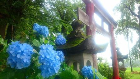 IMG_20160716_093107.jpg