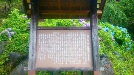IMG_20160716_093134.jpg