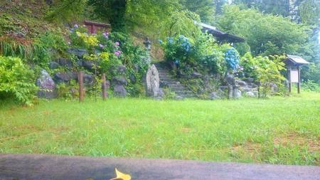 IMG_20160716_093213.jpg