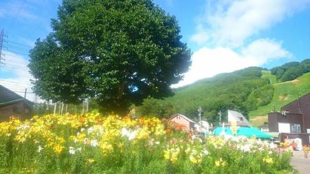 IMG_20160719_083438.jpg
