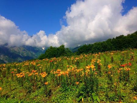 IMG_20160719_091147.jpg
