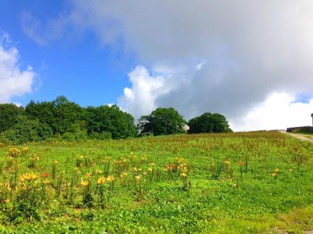 IMG_20160719_091212.jpg