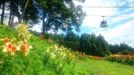 IMG_20160722_092041.jpg