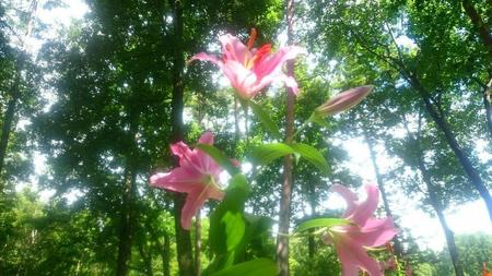 IMG_20160722_093831.jpg