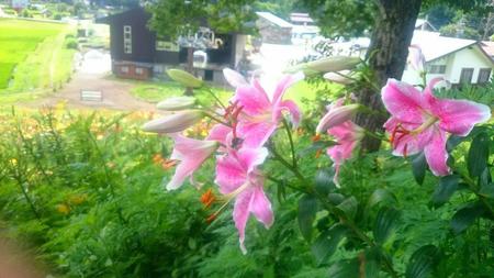 IMG_20160722_094044.jpg