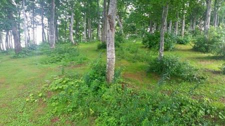 IMG_20160722_102934.jpg